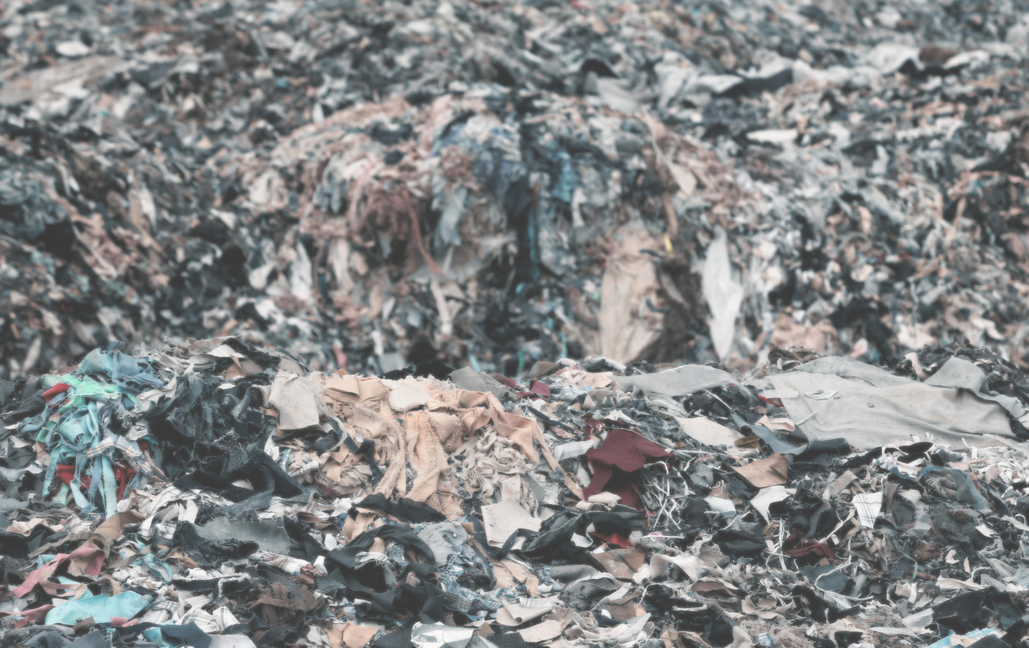 Why Is Fast-Fashion Polyester A Problem?