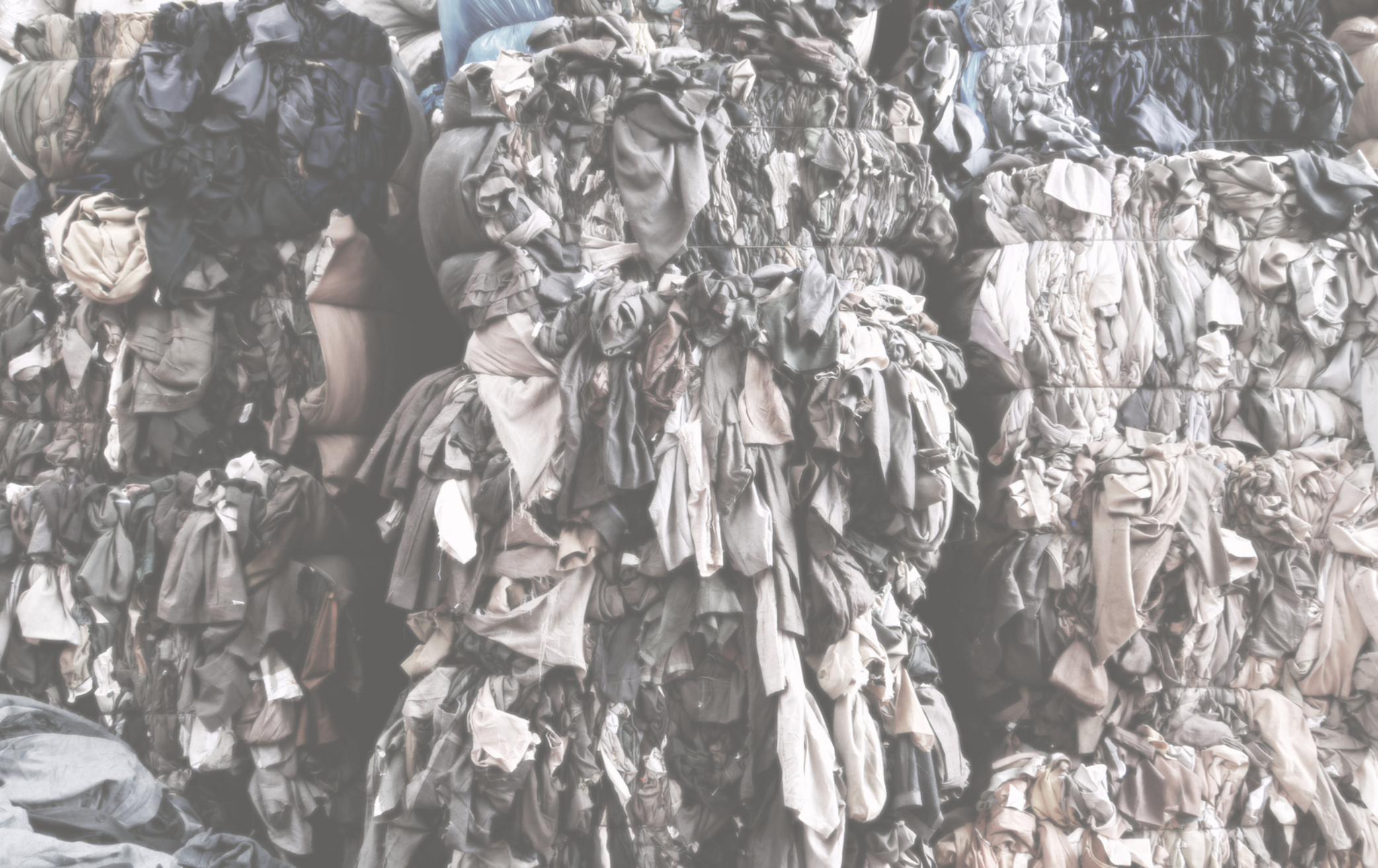 The Unsustainable Truth About Recycled Polyester