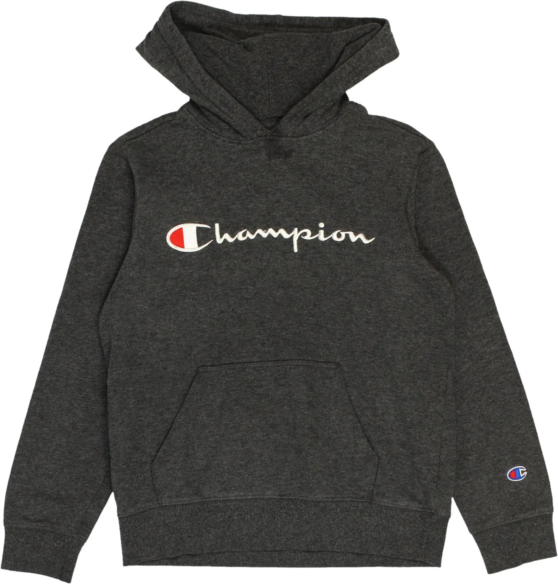 Champion - Champion Sweater- ThriftTale.com - Vintage and second handclothing