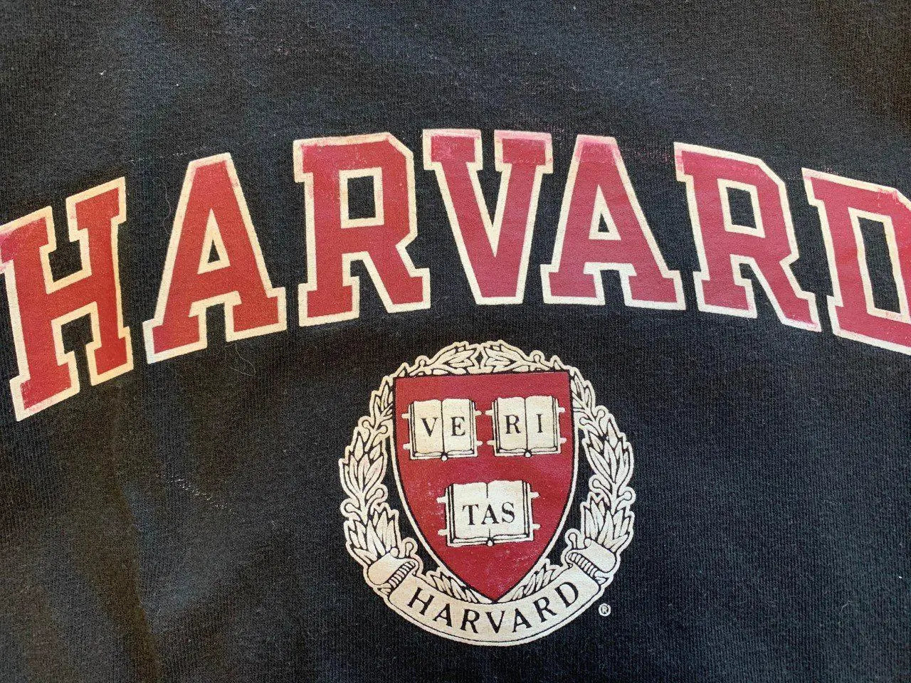Champion - Harvard Veritas T-shirt by Champion- ThriftTale.com - Vintage and second handclothing