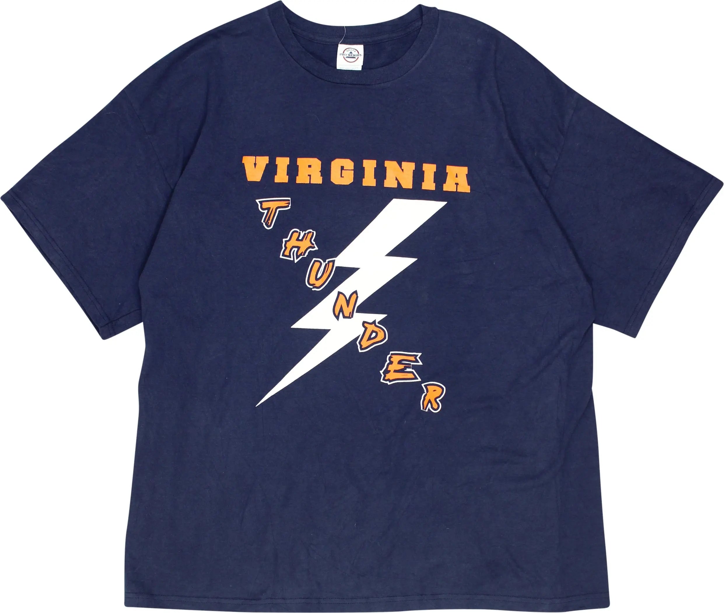 Delta Pro Weight - Virginia T-Shirt- ThriftTale.com - Vintage and second handclothing