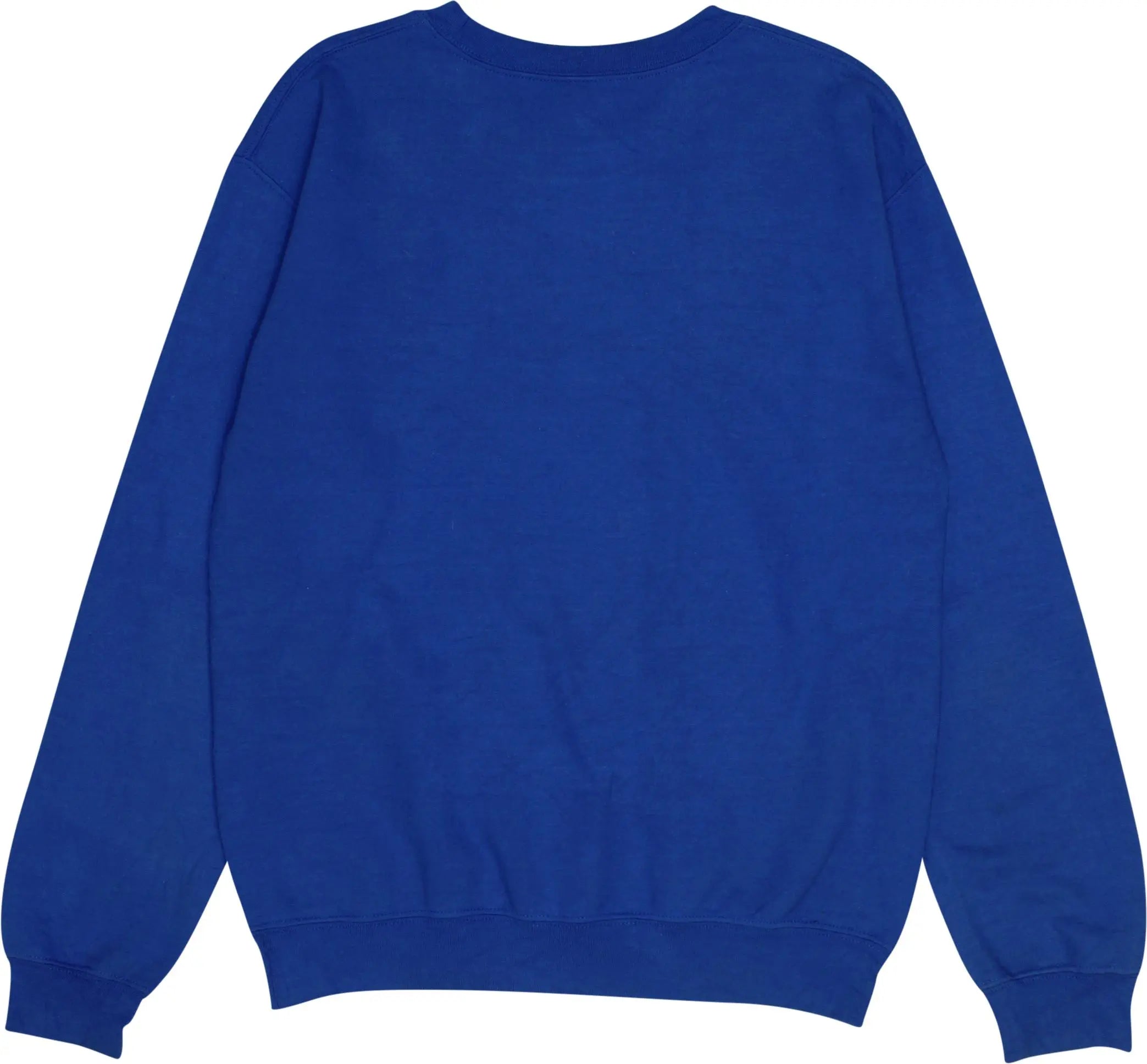Gildan - Hermanas Unidas Inc. Sweater- ThriftTale.com - Vintage and second handclothing
