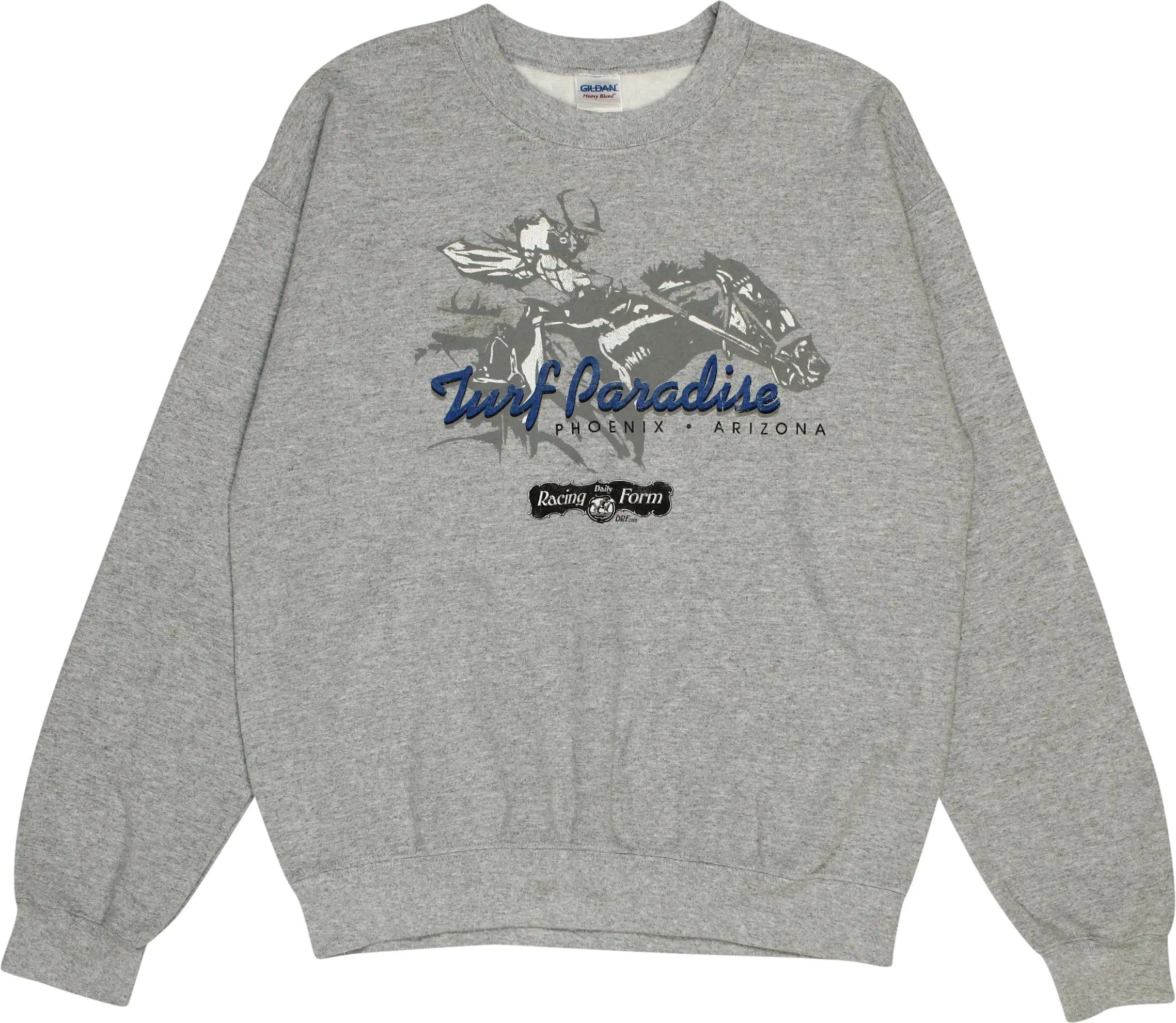 Gildan - Turf Paradise Horse Racetrack Phoenix Arizona Sweater- ThriftTale.com - Vintage and second handclothing